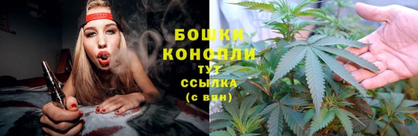 кокаин колумбия Богданович