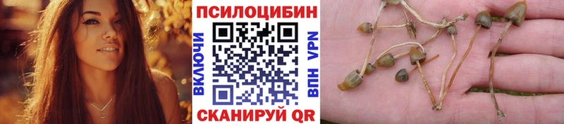 Галлюциногенные грибы GOLDEN TEACHER Беломорск