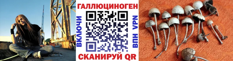 цена наркотик  Беломорск  Галлюциногенные грибы Cubensis 